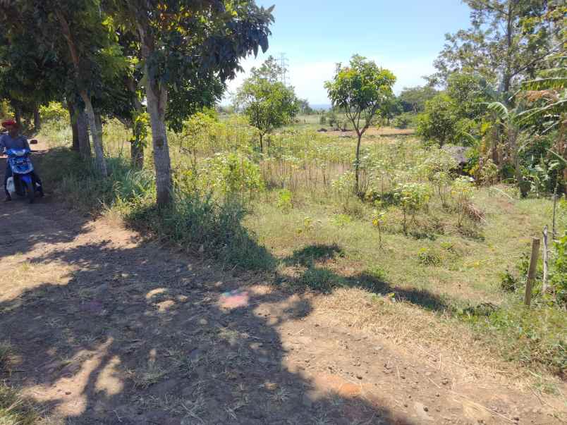 tanah kebun bagus view gunung kota cirebon kelihatan