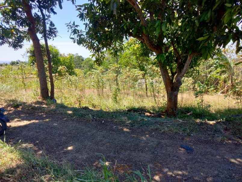 tanah kebun bagus view gunung kota cirebon kelihatan