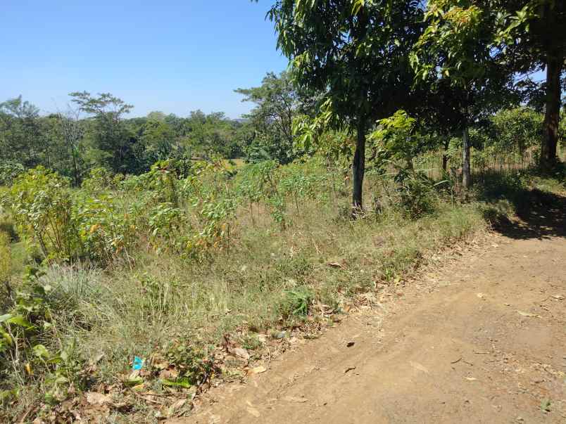 tanah kebun bagus view gunung kota cirebon kelihatan