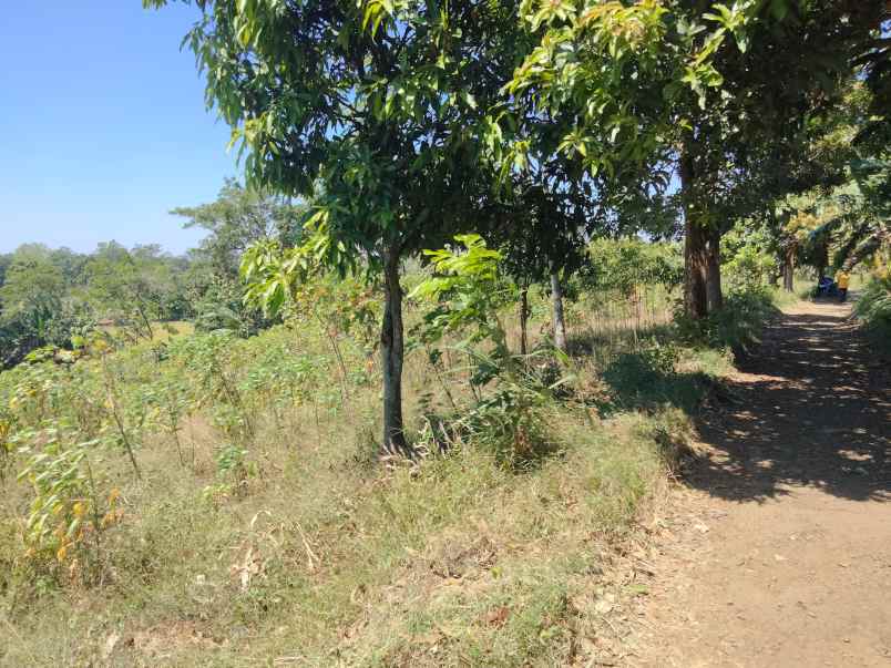 tanah kebun bagus view gunung kota cirebon kelihatan