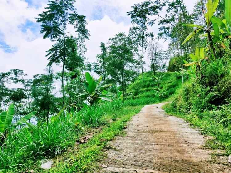 tanah kemuning ngargoyoso