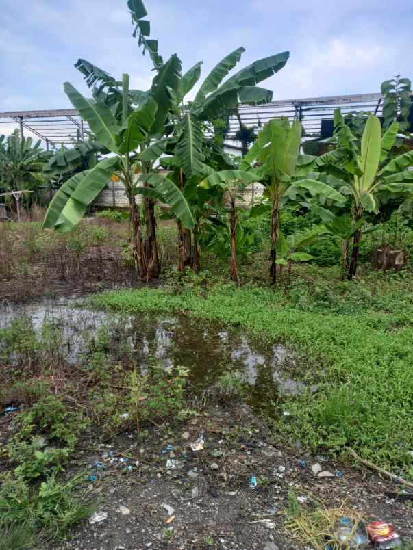 tanah legundi dekat akses tol