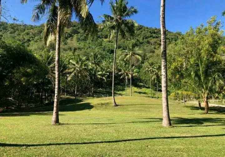 tanah lokasi nipah lombok utara