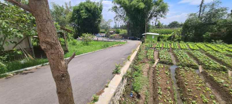 tanah luas dan murah lokasi di desa sumberejo