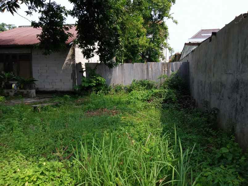 tanah luas prospek untuk kos atau hunian yang nyaman