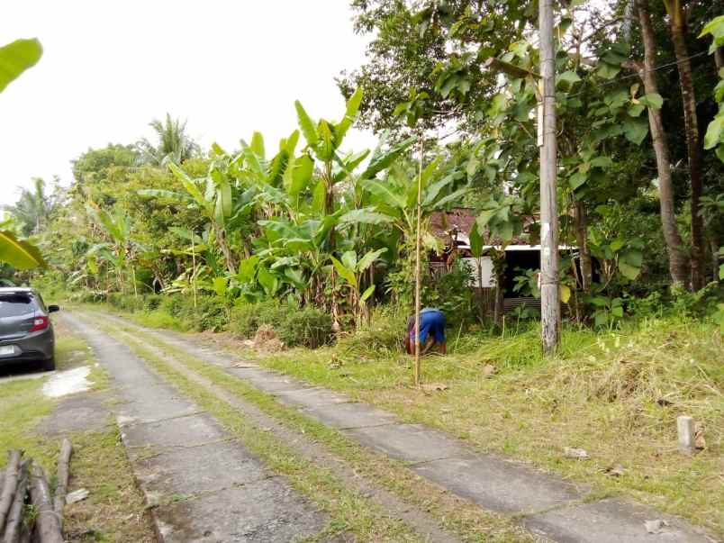 tanah mangku jalan utama desa ketangi purwodadi