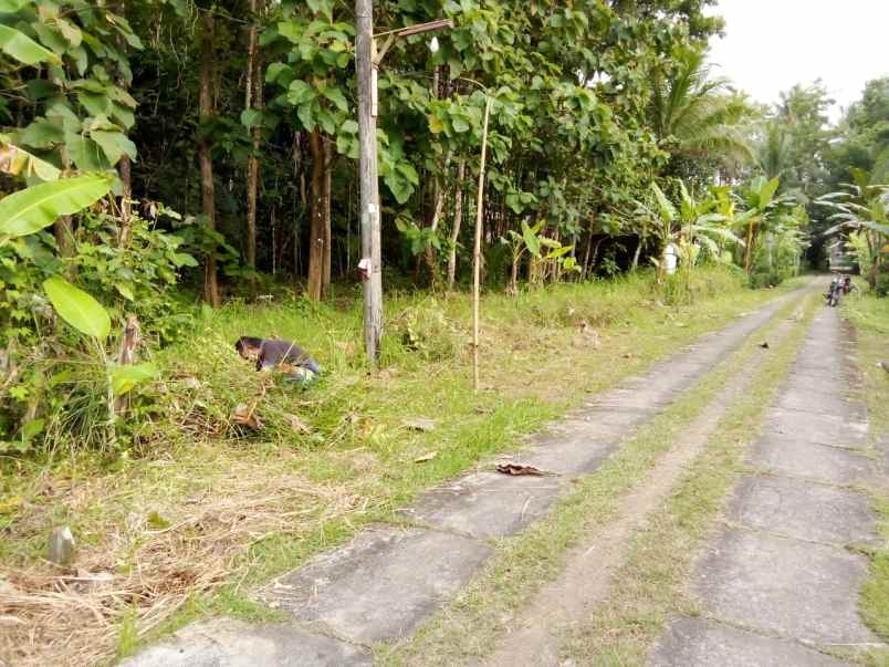 tanah mangku jalan utama desa ketangi purwodadi