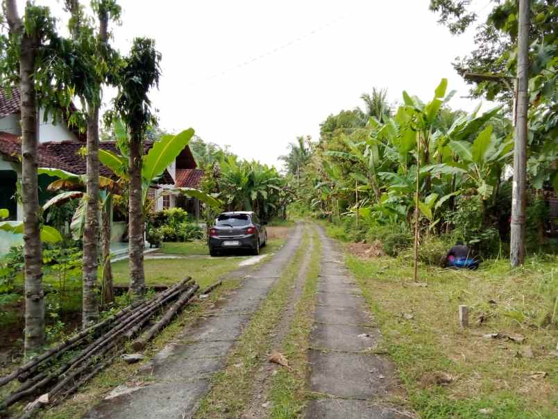 tanah mangku jalan utama desa ketangi purwodadi