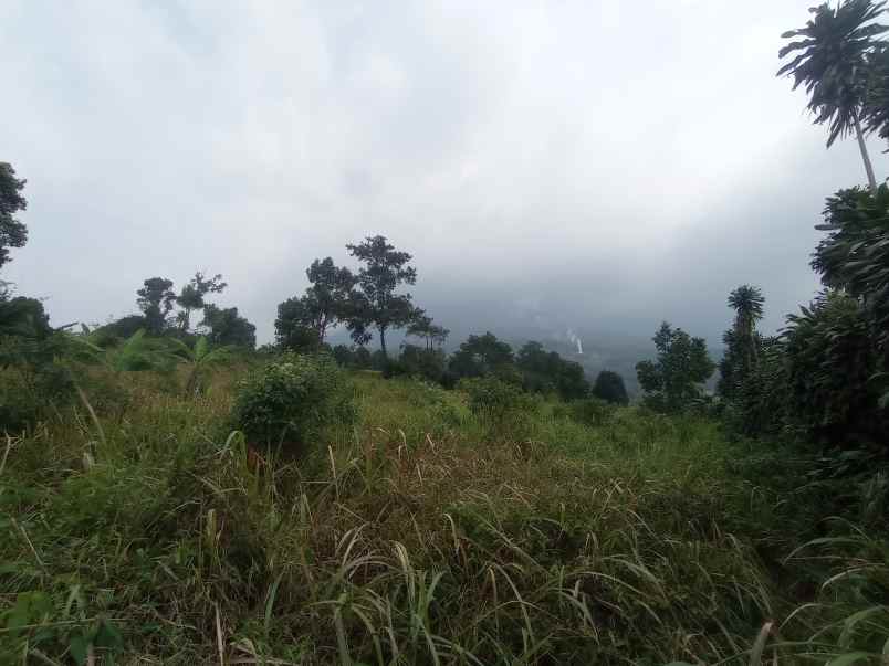 tanah murah bestview mountain cijeruk bogor