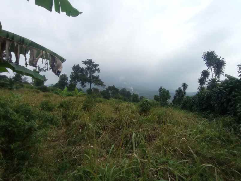 tanah murah bestview mountain cijeruk bogor