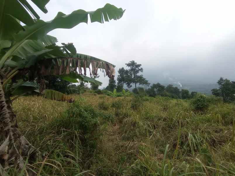 tanah murah bestview mountain cijeruk bogor