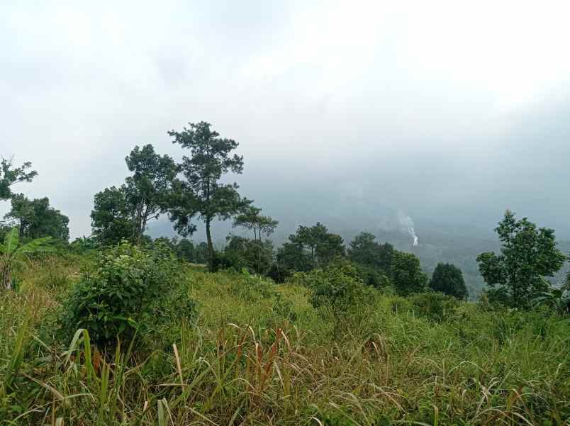 tanah murah bestview mountain cijeruk bogor