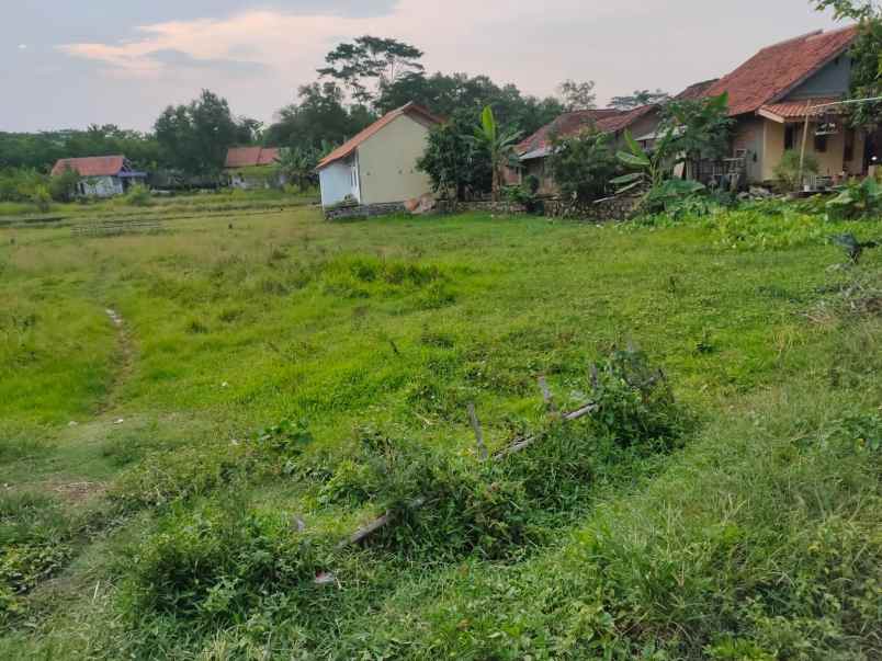 tanah pinggir jalan raya kawasan industri