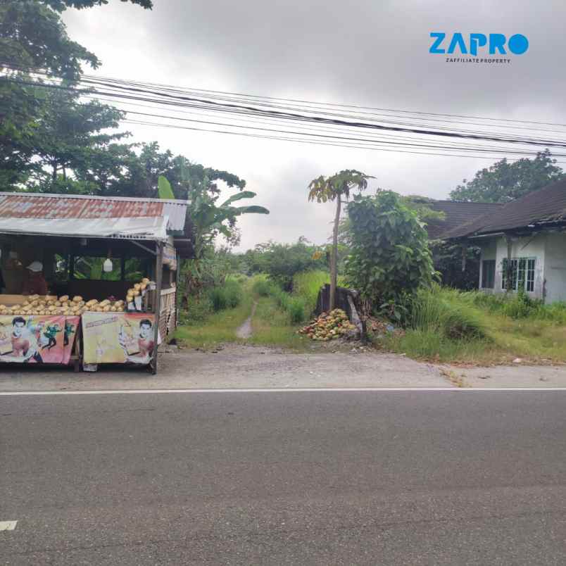 tanah prospektif murah di lubuk buaya