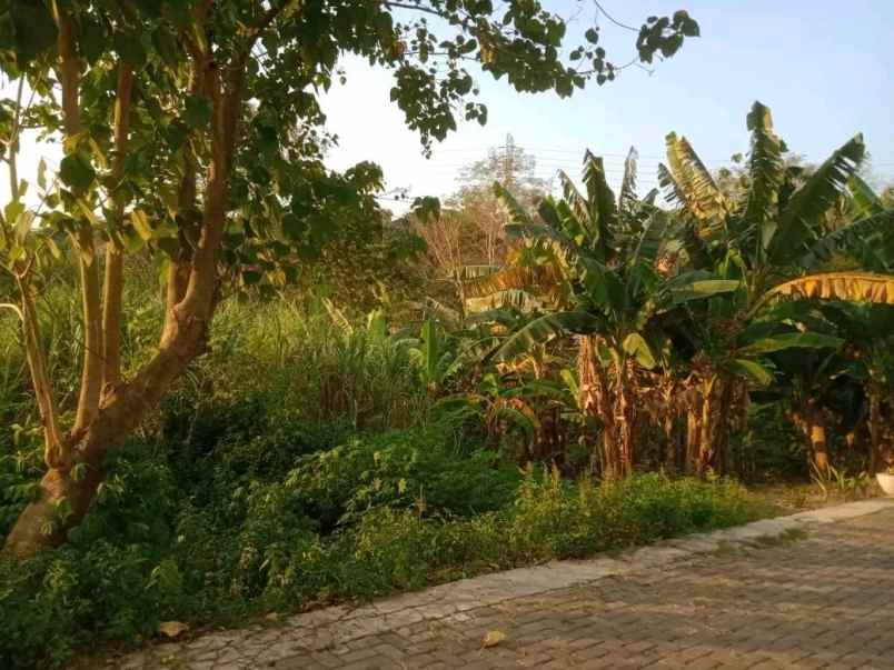 tanah siap bangun di candi kalasan manyaran semarang