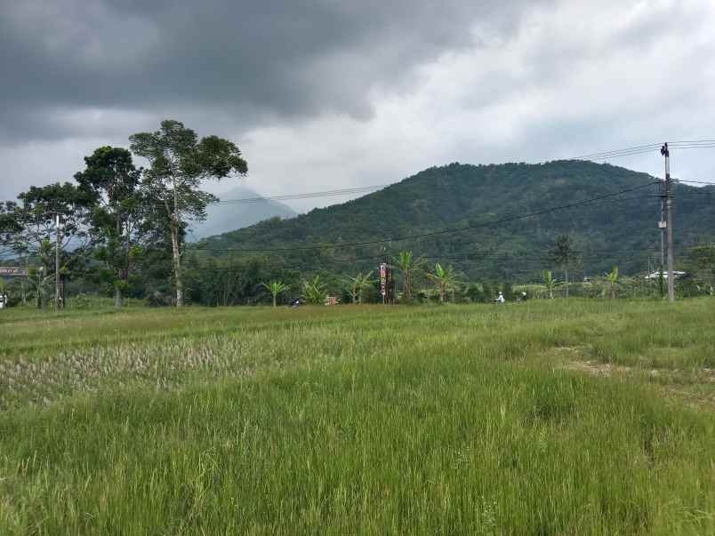 tanah strategis jalan raya provinsi kasomalang subang