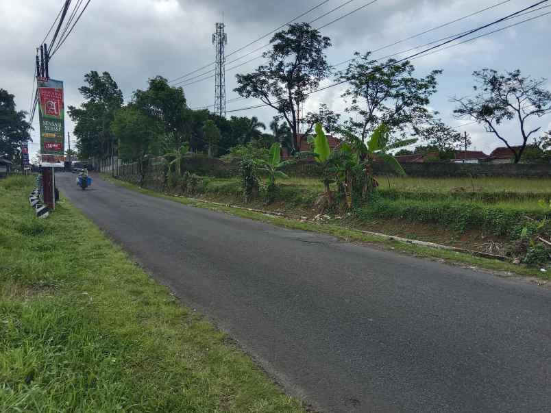 tanah strategis jalan raya provinsi kasomalang subang