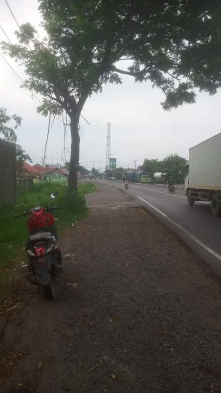 tanah strategis nempel jln raya pantura