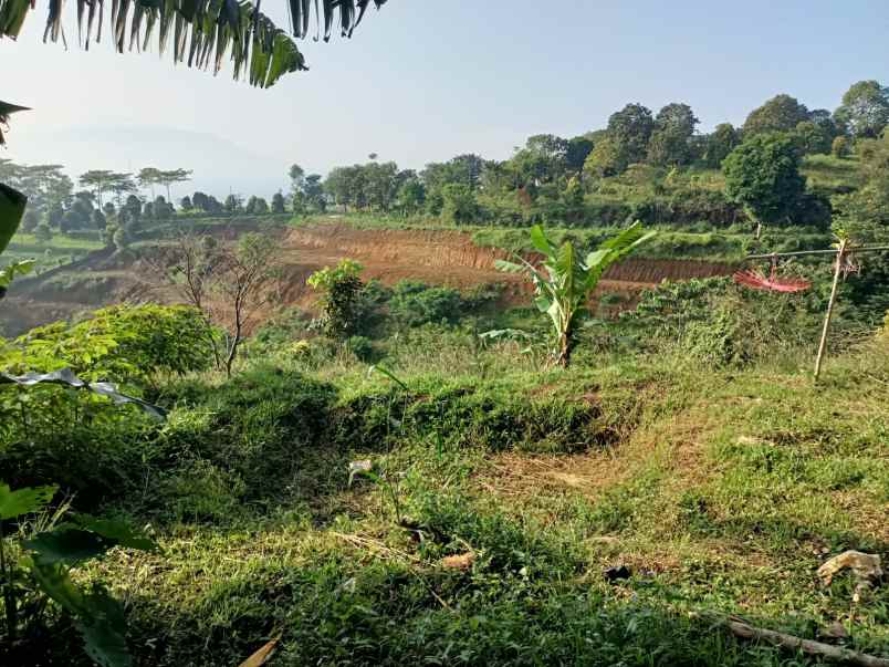 tanah tajur halang cijeruk