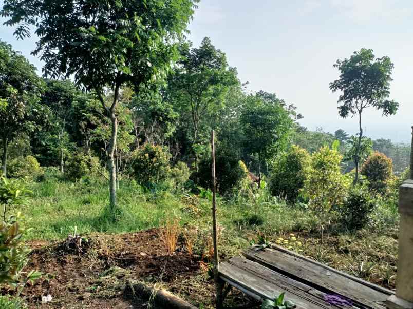 tanah tajur halang cijeruk