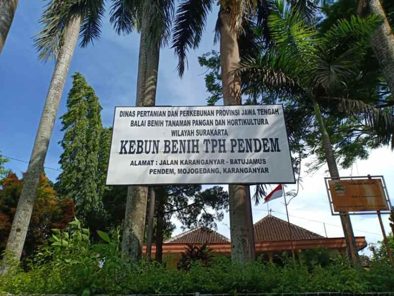 tanah tepi jl raya kerjo