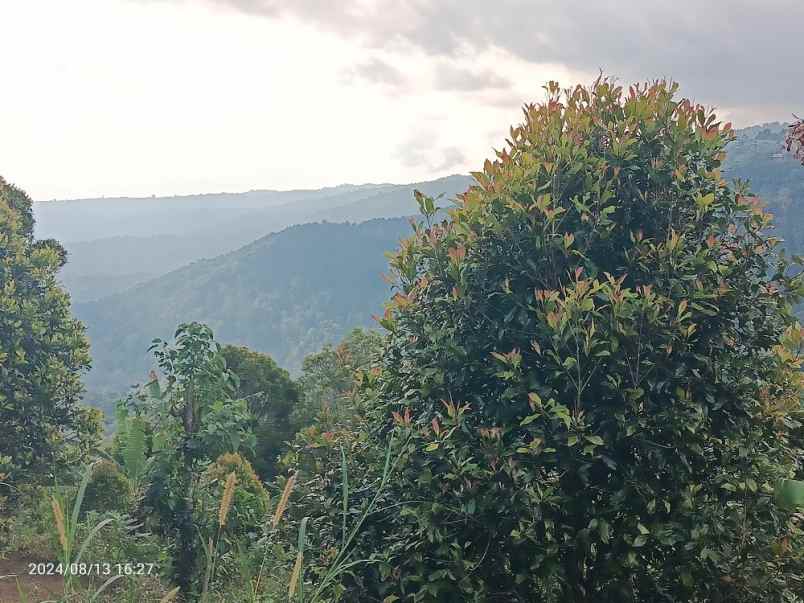 tanah view gunung dan lembah di munduk singaraja bali