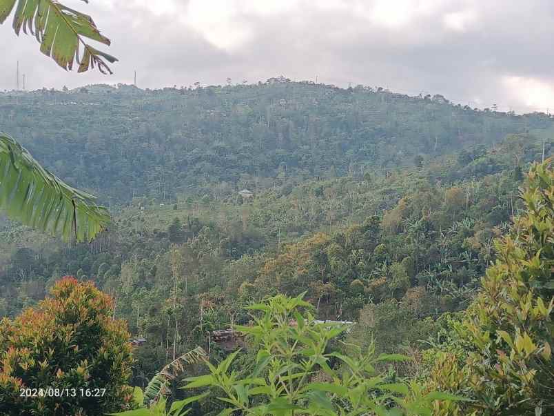 tanah view gunung dan lembah di munduk singaraja bali