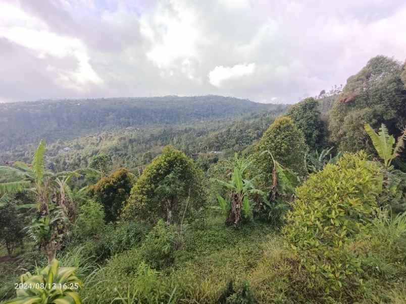 tanah view gunung dan lembah di munduk singaraja bali