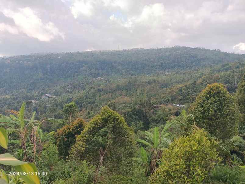 tanah view gunung dan lembah di munduk singaraja bali