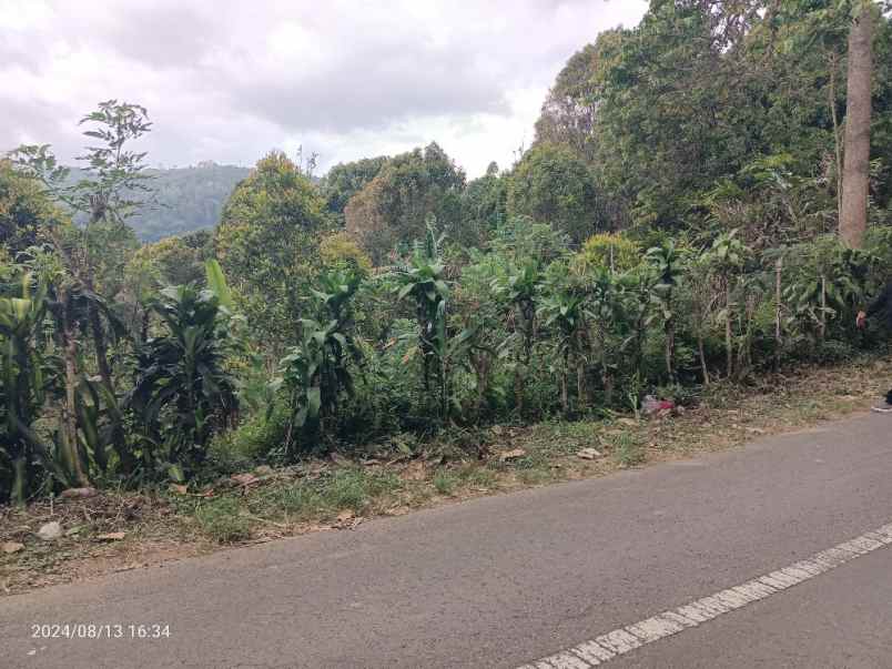 tanah view gunung dan lembah di munduk singaraja bali