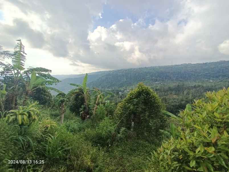 tanah view gunung dan lembah di munduk singaraja bali