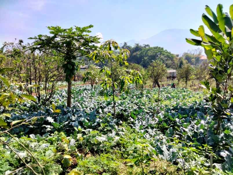 villa di batu malang murah dijual dibawah pasaran