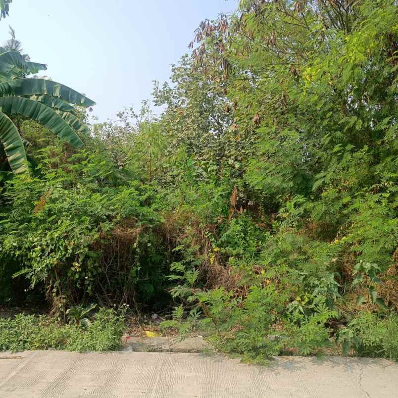 dijual cepat sebidang tanah