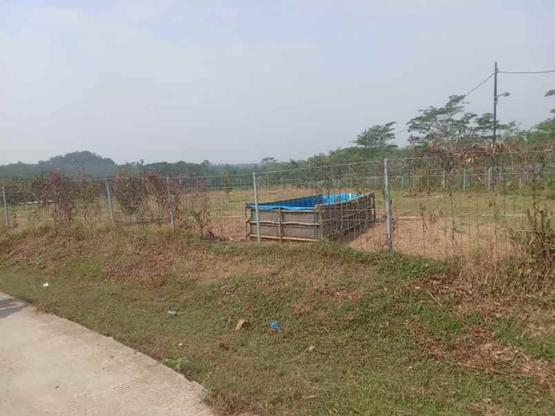 dijual kebun durian premium villa eksklusif siap panen