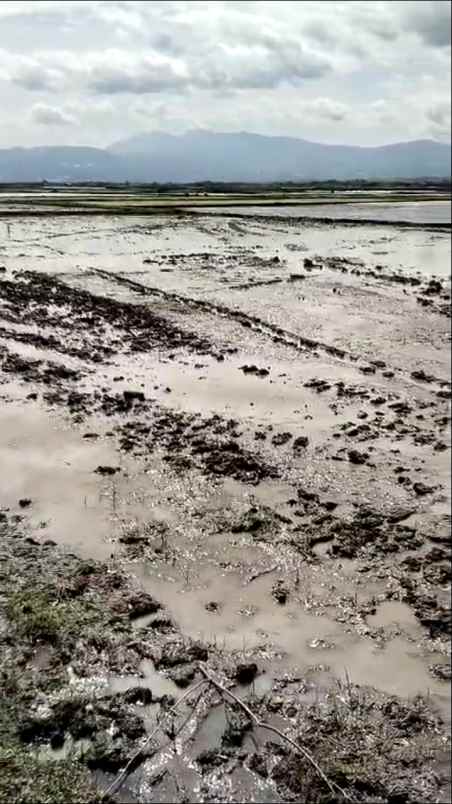 dijual murah lahan sawah produktif ciparay kab bandung