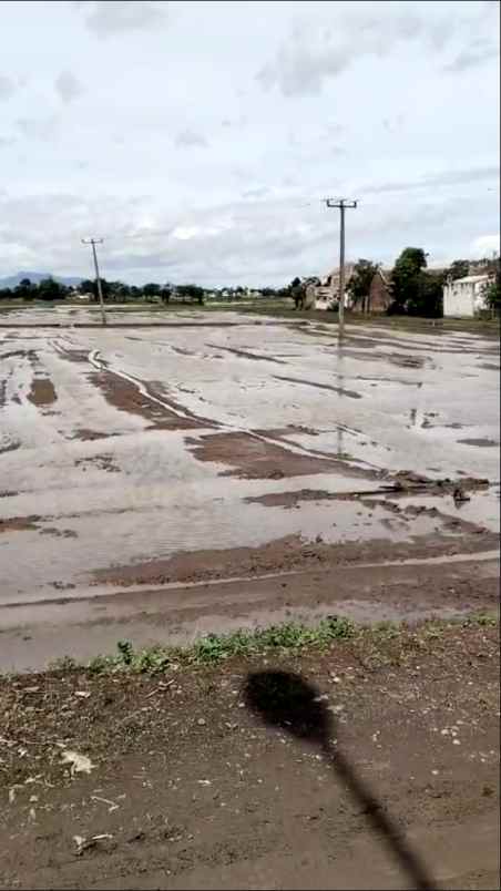 dijual murah lahan sawah produktif ciparay kab bandung