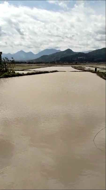 dijual murah lahan sawah produktif ciparay kab bandung