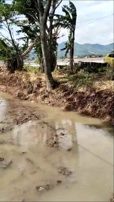 dijual murah lahan sawah produktif ciparay kab bandung