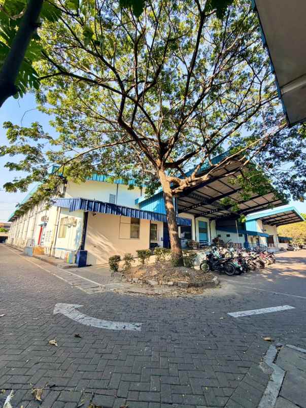 dijual ruko gudang kantor sier rungkut industri