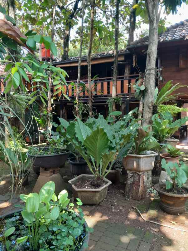 dijual rumah cibubur