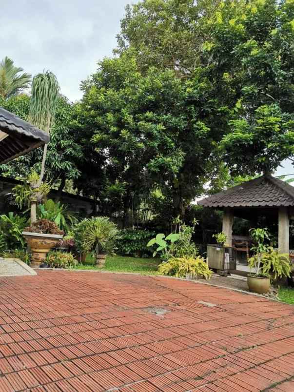 dijual rumah cipete