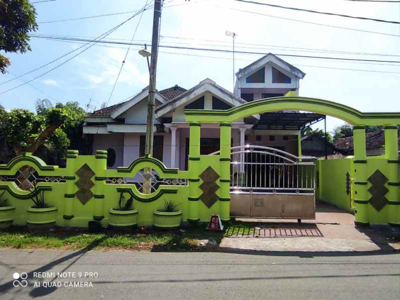 dijual rumah desa brenggolo kec