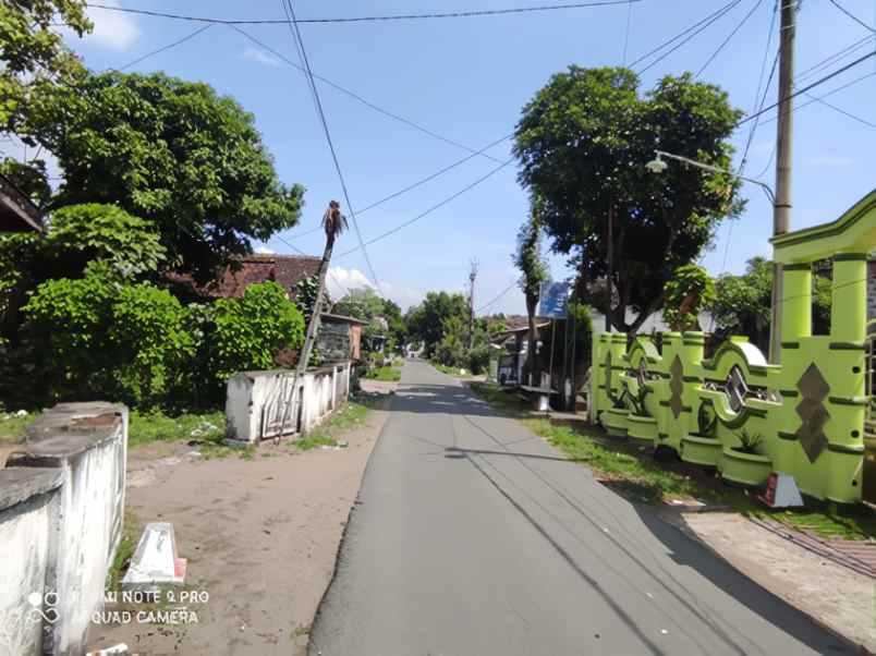 dijual rumah desa brenggolo kec