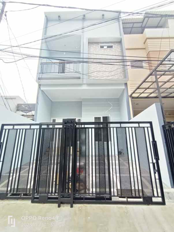 dijual rumah kelapa cengkir kelapa gading