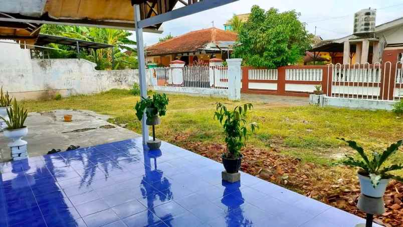 dijual rumah tanah di pusat kota banyuwangi