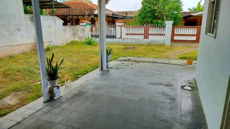 dijual rumah tanah di pusat kota banyuwangi