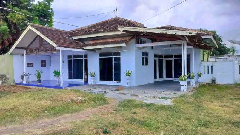 dijual rumah tanah di pusat kota banyuwangi