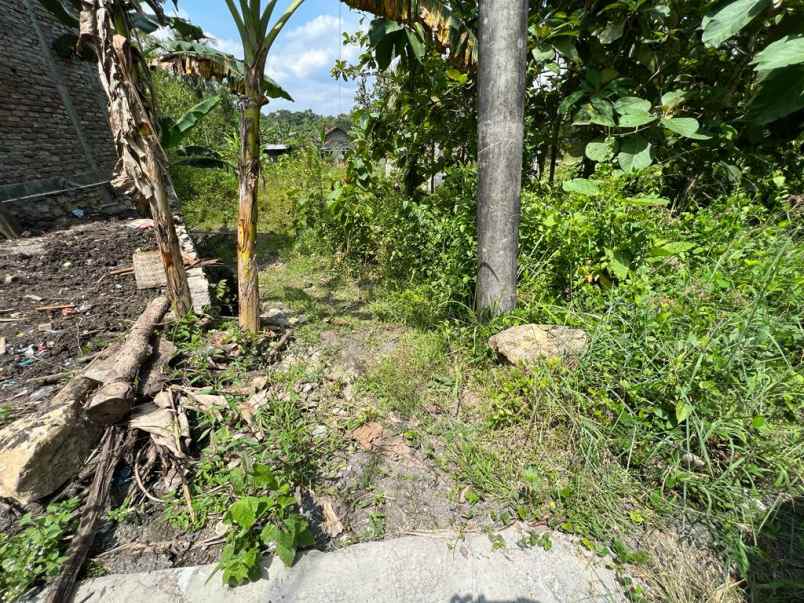 dijual tanah argorejo sedayu bantul