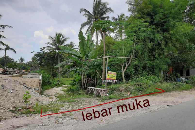 dijual tanah asri di kota cilegon langsung owner