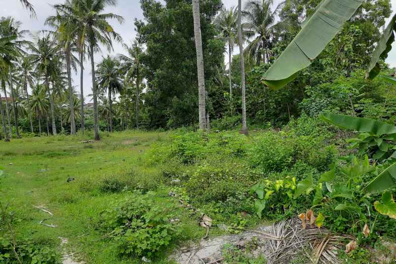 dijual tanah asri di kota cilegon langsung owner